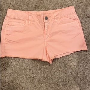 Ann Taylor LOFT shorts